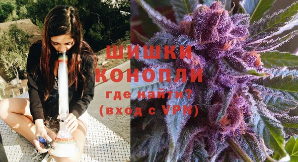 крисы Пересвет