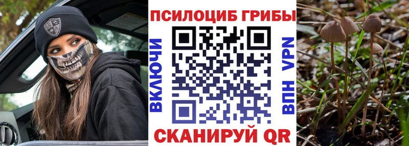 Галлюциногенные грибы MAGIC MUSHROOMS  Онега 